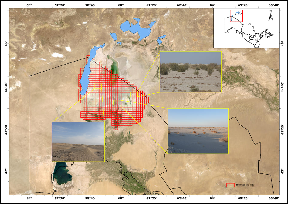 A new ecosystem has emerged on the dried seabed of the Aral Sea